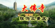 插插插草草草啊啊视频中国浙江-新昌大佛寺旅游风景区